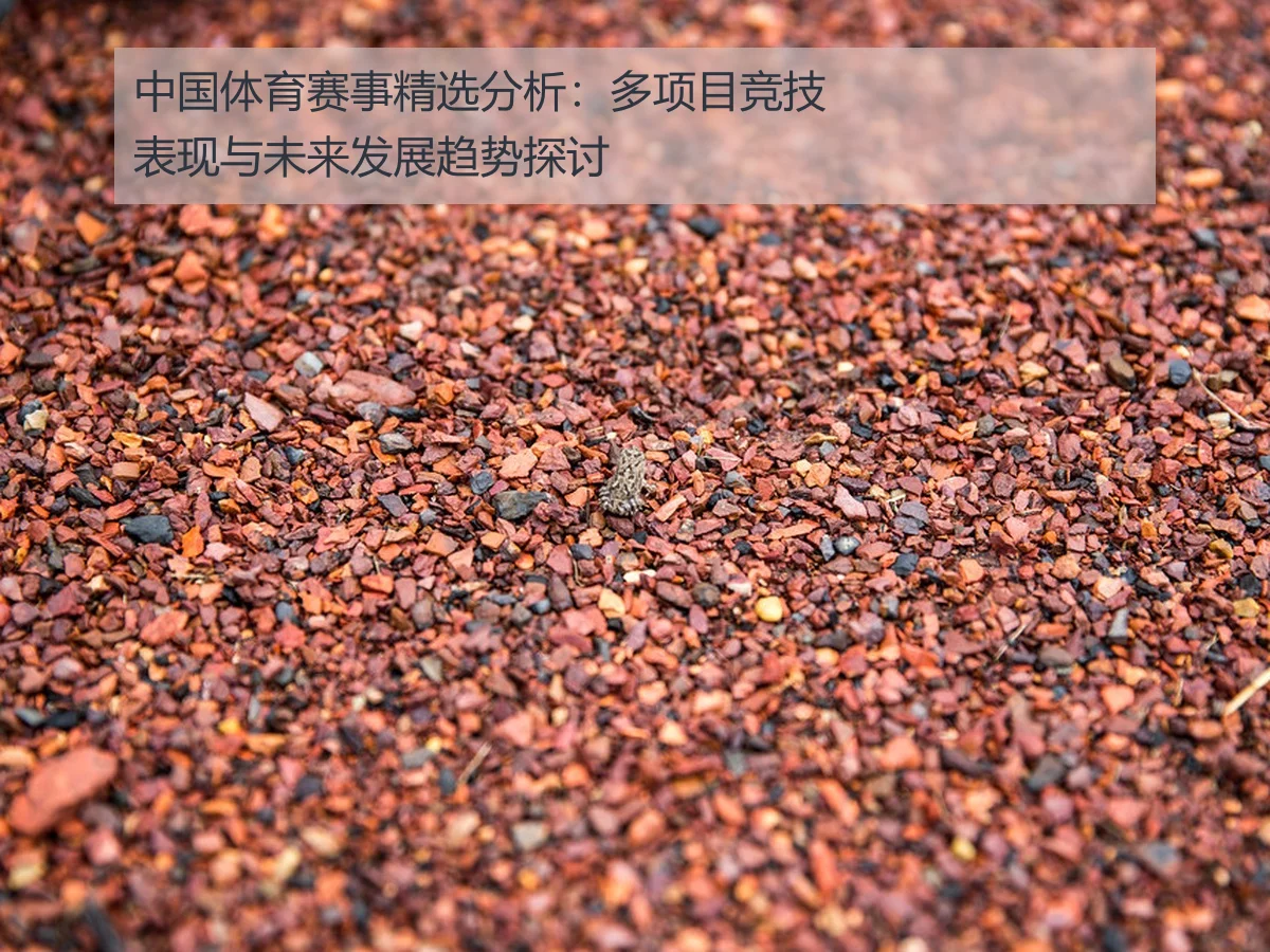 中国体育赛事精选分析：多项目竞技表现与未来发展趋势探讨